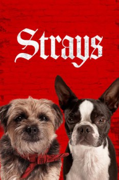 poster Strays&nbsp;&nbsp;(2023)